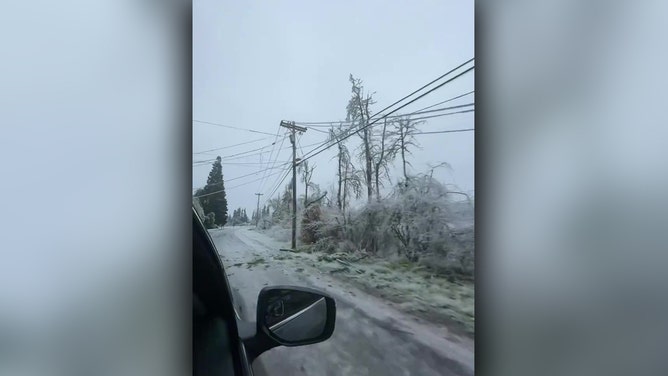 Ice storm leaves damage in Springfield, OR