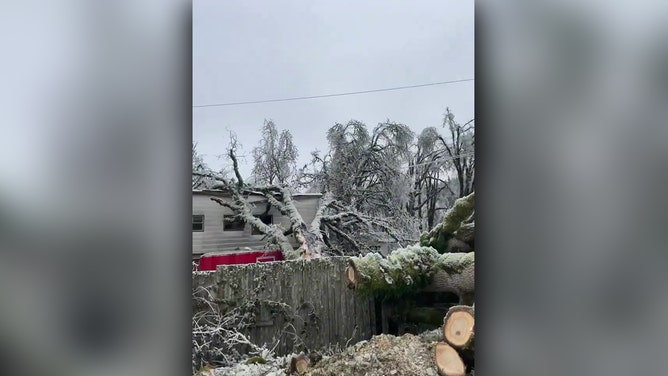 Ice storm leaves damage in Springfield, OR