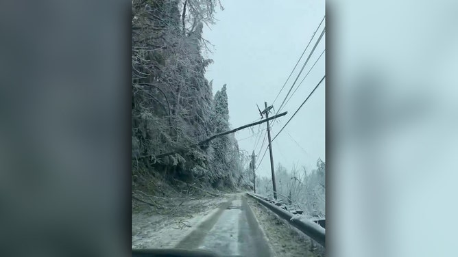 Ice storm leaves damage in Springfield, OR