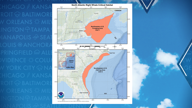 North Atlantic right whale critical habitat map