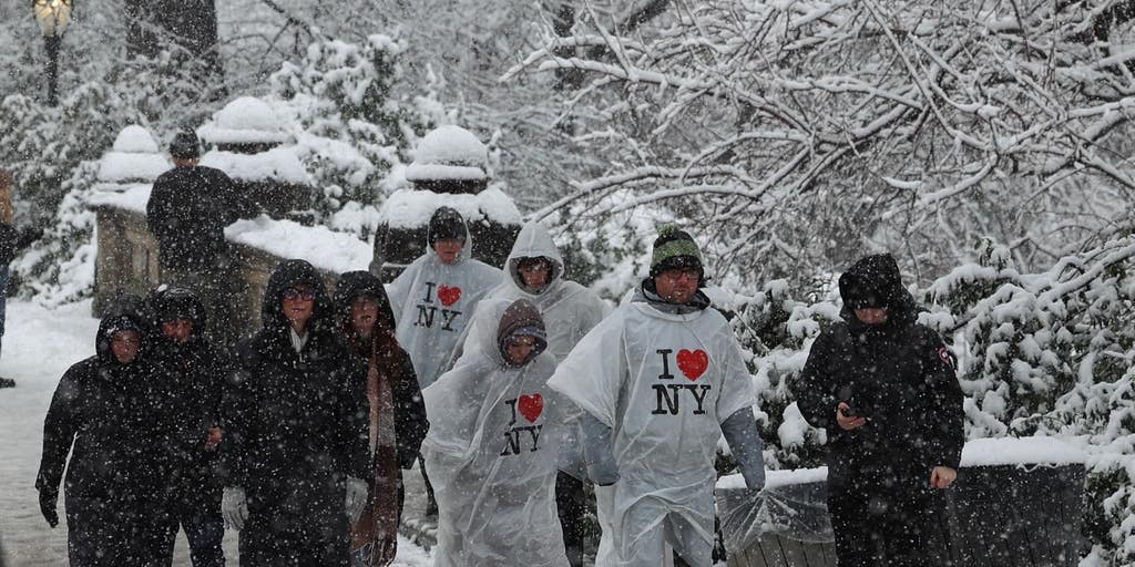 See it: Nor'easter brings snow to New York City | Fox Weather