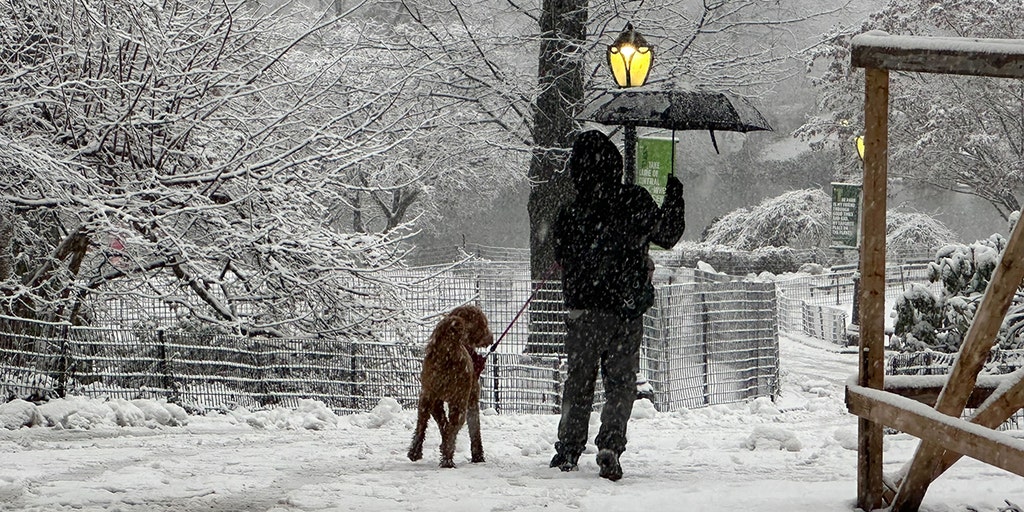Powerful cross-country winter storm, freezing cold from Polar Vortex to slam I-95 corridor this weekend