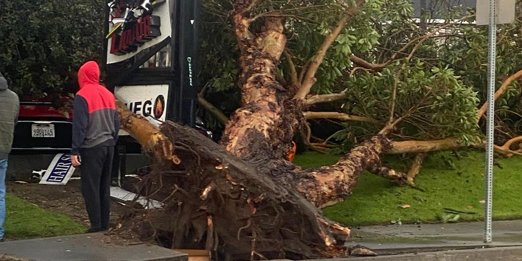 Storm spawns tornado in California after deadly atmospheric river exits Fox Weather