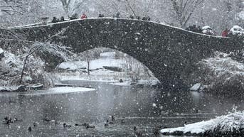 Northeast winter storm unleashes up to a foot of snow amid travel nightmare - Fox News