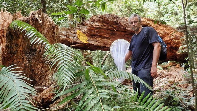 Tom Terzin, a biology professor at the U of A’s Augustana Campus, discovered a new species of weevil in the rainforest of the Philippines and rediscovered another species that was thought to be extinct. (Photo: Shirley Bangoy)