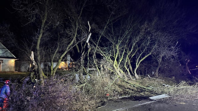 Snapped tree branches are strewn across the pavement in Kane County, Illinois. Feb. 28, 2024.