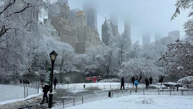 View from Central Park in New York City. Feb. 13, 2024.