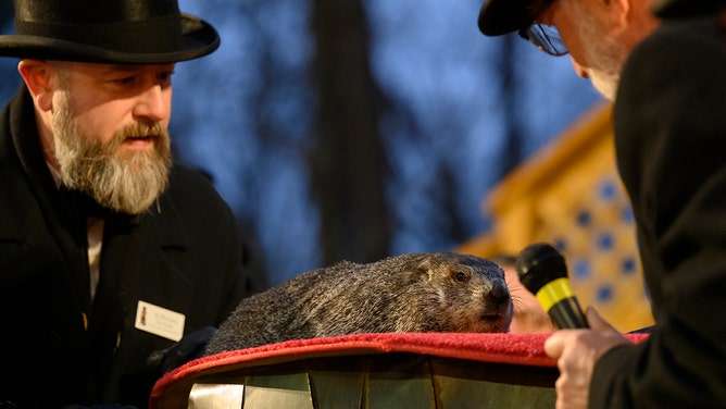 Groundhog handler AJ Dereume holds Punxsutawney Phil after he did not see his shadow predicting an early Spring during the 138th annual Groundhog Day festivities on Friday February 2, 2024 in Punxsutawney, Pennsylvania.