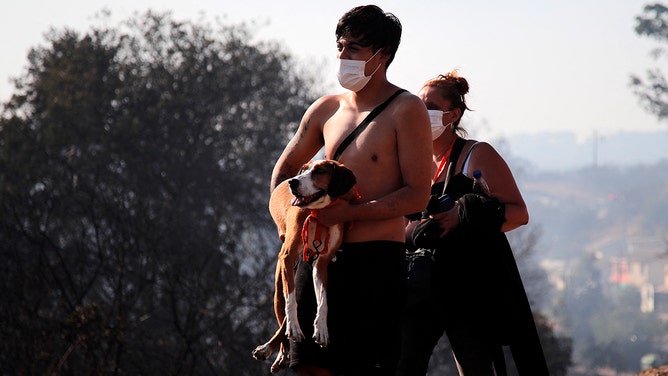 A man holds his dog after a fire that affected the hills in Viña del Mar, Chile on February 3, 2024.
