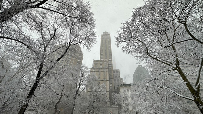 Snow is seen covering Central Park in New York City during a nor'easter on Tuesday, Feb. 13, 2024.