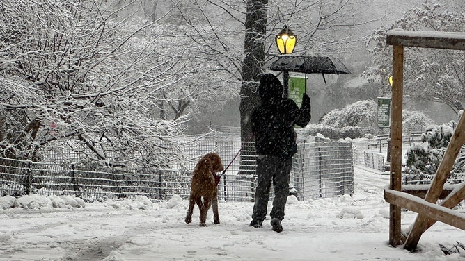 Snow is seen covering Central Park in New York City during a nor'easter on Tuesday, Feb. 13, 2024.