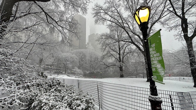 Snow is seen covering Central Park in New York City during a nor'easter on Tuesday, Feb. 13, 2024.