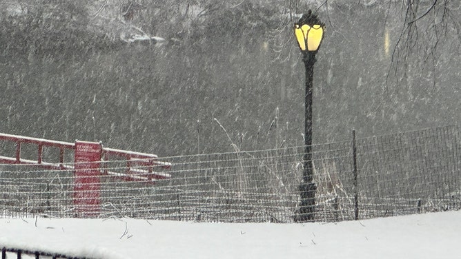 Snow is seen covering Central Park in New York City during a nor'easter on Tuesday, Feb. 13, 2024.