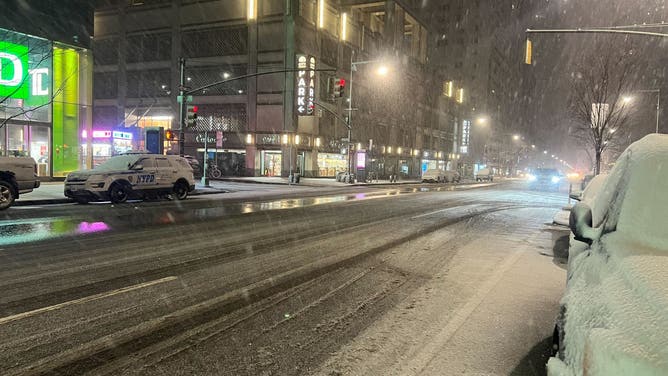 New York City Snow