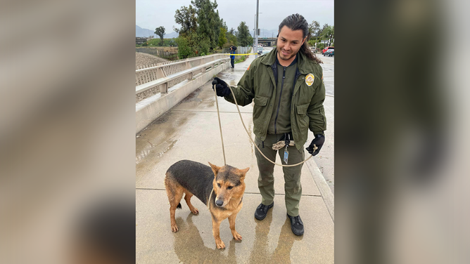 A man was rescued by the Los Angeles Fire Department after he jumped in to save his dog. Both the man and the dog survived.