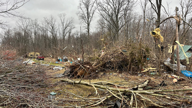 This image shows a large tree that was uprooted during severe weather in Calhoun County, Michigan, on Wednesday, Feb. 28, 2024.