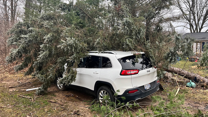 This image shows a vehicle damaged after a tree fell on top of it during severe weather in Calhoun County, Michigan, on Wednesday, Feb. 28, 2024.