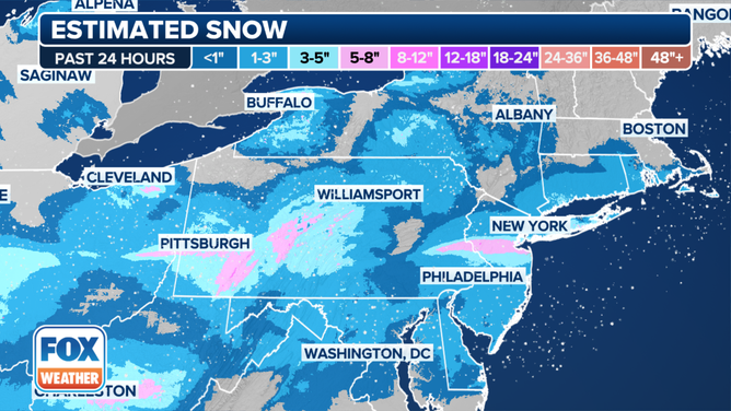 Northeast Estimated Snow