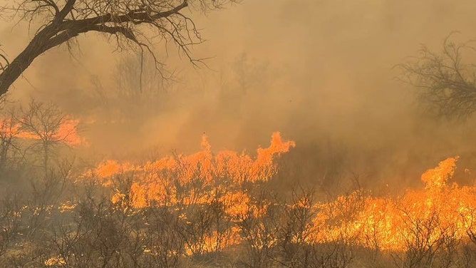 Texas issues disaster declaration as wildfires burn out of control