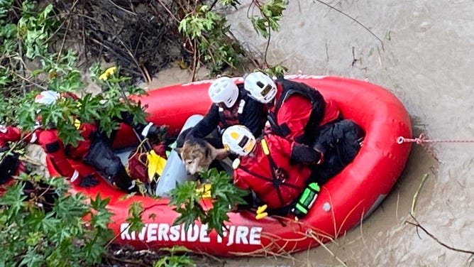 A water rescue in Riverside, California for three adults and a dog who became trapped within the Santa Ana River Bottom. 