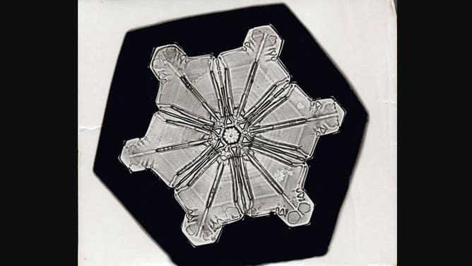 Photo of a star crystal snowflake, as captured by Wilson A. Bentley.