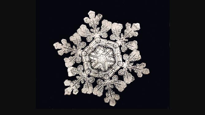 Photo of a dendrite snowflake, as captured by Wilson A. Bentley.