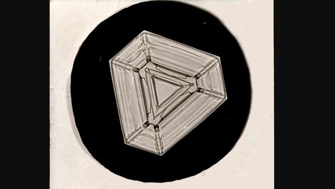 Photo of a plate snowflake, as captured by Wilson A. Bentley.