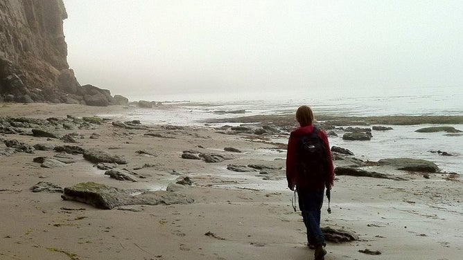 FILE - A photo of Forrest Sheperd walking along the same beach six months after he made the walrus skull discovery.
