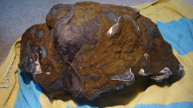 FILE - A photo of the skull a couple of days after it was found.