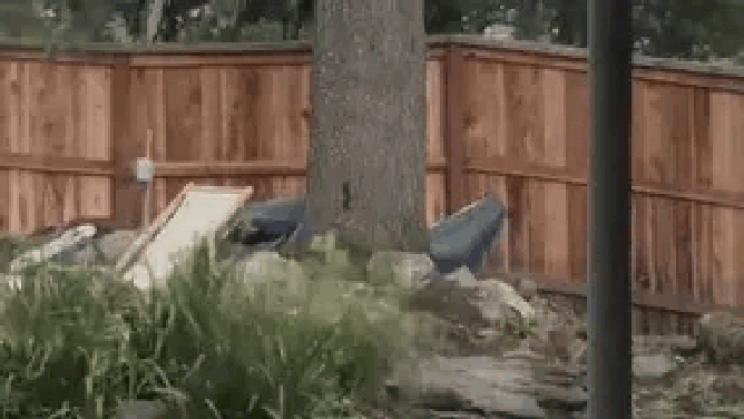 Video from Stephen Belcher shows a tree being ripped from its roots and lifting a fence in the process, before crashing down onto a home.