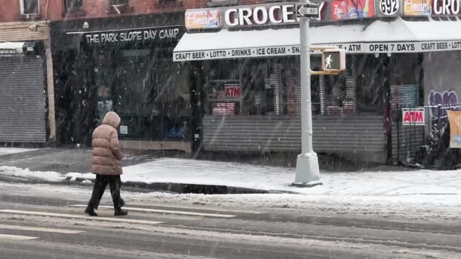 On Tuesday, Feb. 13, 2024, a nor'easter in Brooklyn, New York, covered trees, vehicles, and roads with heavy snow.