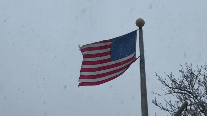 On Tuesday, Feb. 13, 2024, a nor'easter in Brooklyn, New York, covered trees, vehicles, and roads with heavy snow.