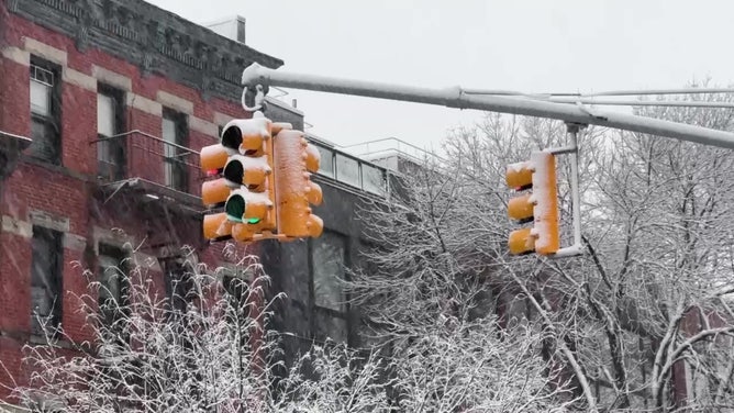 On Tuesday, Feb. 13, 2024, a nor'easter in Brooklyn, New York, covered trees, vehicles, and roads with heavy snow.