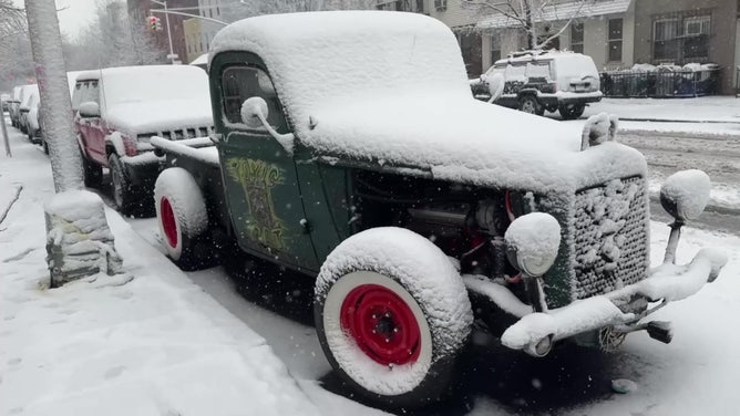 On Tuesday, Feb. 13, 2024, a nor'easter in Brooklyn, New York, covered trees, vehicles, and roads with heavy snow.
