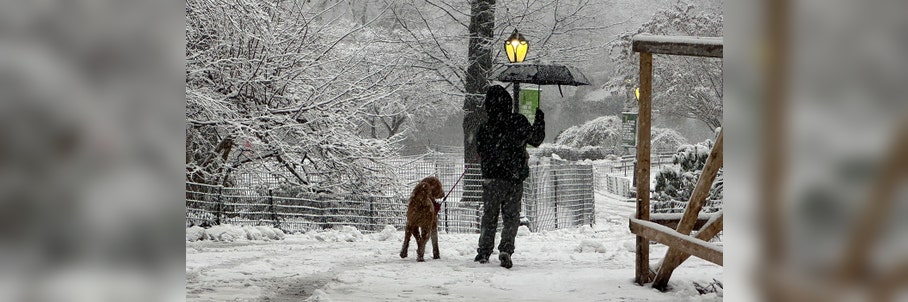Powerful cross-country winter storm dumping snow, freezing cold from Polar Vortex charges into Northeast