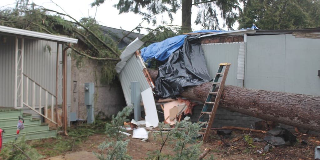 Downed Tree Destroys 3 Homes In Washington As Next West Coast Storm ...