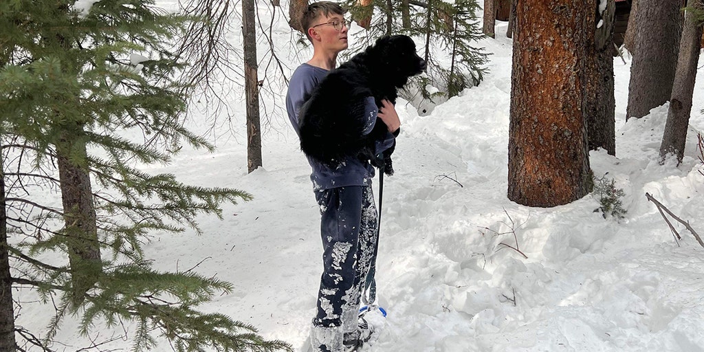 A Colorado dog missing for 10 days was found trapped in the snow just feet from a home