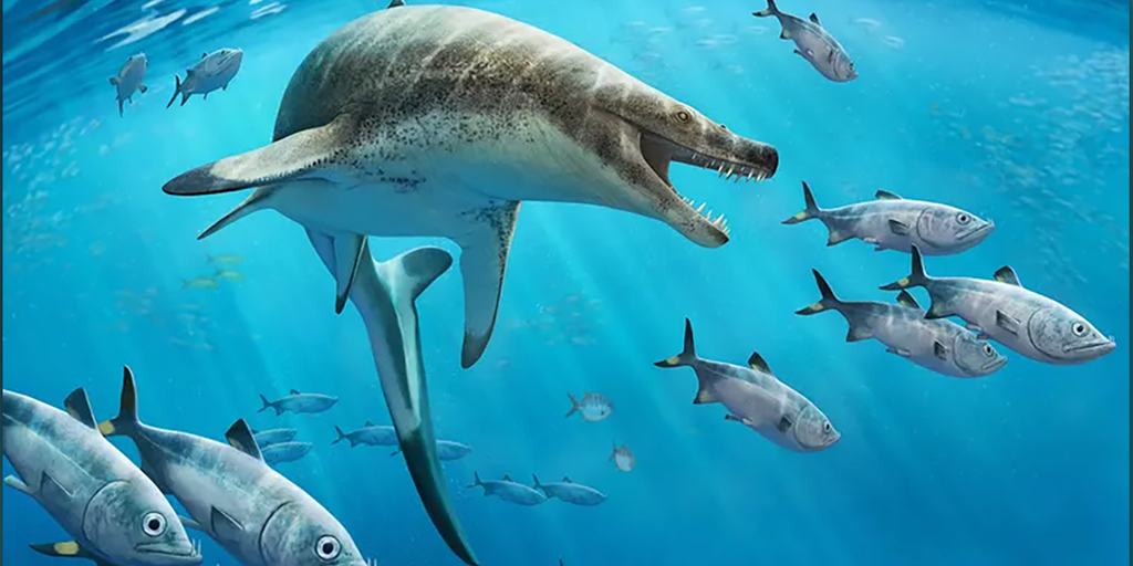 Fossil of 'nightmarish' sea reptile found in Morocco | Fox Weather