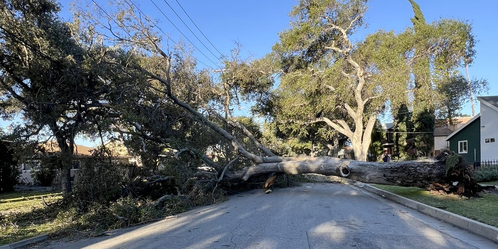 Santa Ana winds knock out power to thousands across Southern California ...
