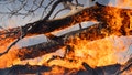 'Wildfire outbreak' possible in parts of fire-ravaged Texas, Oklahoma on Wednesday