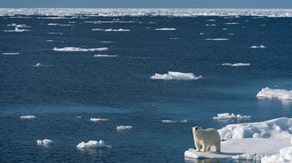 Arctic Ocean could become 'ice-free' within a decade, researchers say