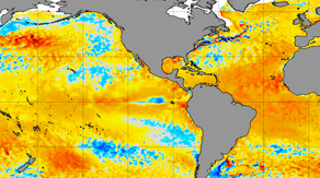 What record-setting ocean temps mean for sea life and 2024 hurricane season
