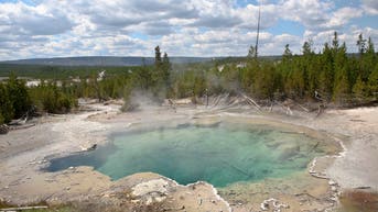 Brain-eating amoeba detected in water at iconic US National Parks, study finds - Fox News