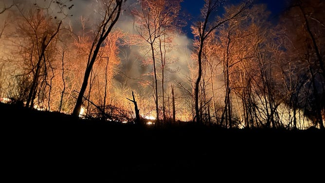 A photo of the Rocky Branch Fire inside Shenandoah National Park in Virginia on March 20, 2024. 