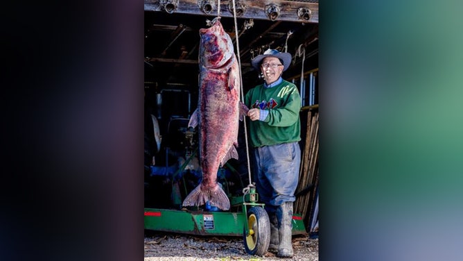 Missouri angler breaks world record after catching 97-pound bighead carp