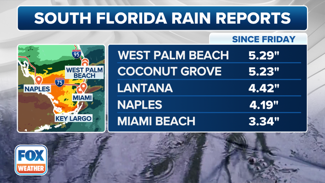 Florida Top Rain Reports