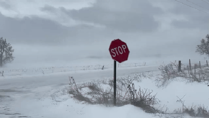 This image shows a stop sign blowing in the wind during a spring snowstorm in Nebraska on Monday, March 25, 2024.