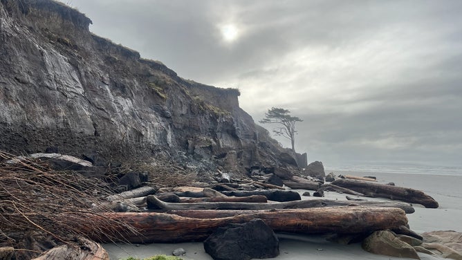 Erosion at Kalaloch, Washington.