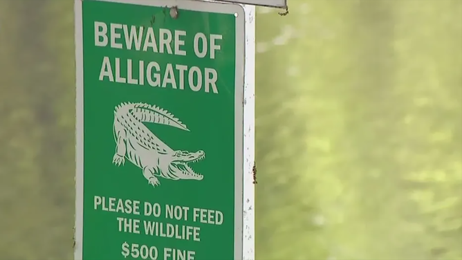 One man is in the hospital following a gator attack that happened Sunday afternoon. The Florida Fish and Wildlife Conservation Commission (FWC) estimates the gator's length to be approximately 9 feet.