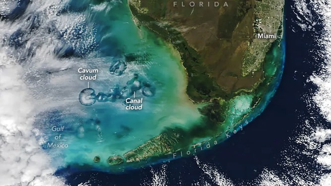 High above the Gulf of Mexico and just off the coast of Florida, NASA's Terra satellite recently captured a striking image of the sky, revealing some odd clouds that have puzzled scientists for decades.